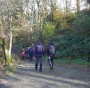 Good paths through the woodlands Good paths through the woodlands