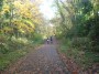 Off into the woods Off into the woods