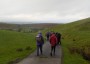Rolling landscape Rolling landscape