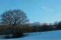 Looking up to the Pike and Winter Hill Looking up to the Pike and Winter Hill