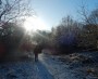 Bright sun and frost Bright sun and frost