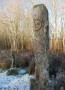 Carved post Carved post