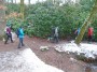 Some paths were clear Some paths were clear