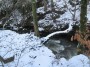 Remains of old mill in Healey Dell Remains of old mill in Healey Dell