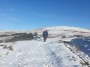 Brown Wardle Hill Brown Wardle Hill