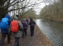 Canal walk to Haigh Canal walk to Haigh