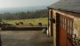 Alpaca farm Alpaca farm