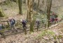 We climbed a lot of steps today! We climbed a lot of steps today!
