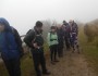 In the mist near the trespass stone In the mist near the trespass stone