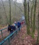 Up the 63 steps Up the 63 steps