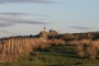 Moorland walls Moorland walls