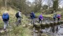 Stepping stones, don't fall in! Stepping stones, don't fall in!
