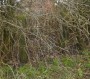 Spot the Thirlmere Aquaduct gate Spot the Thirlmere Aquaduct gate