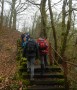 Up the steps Up the steps