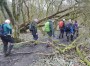 Yet more mud in the wood Yet more mud in the wood