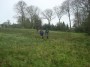 Walking down the fields Walking down the fields