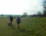 Walking in the sunshine Walking in the sunshine