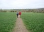 Path through the field Path through the field