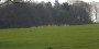 Fabulous herd of deer Fabulous herd of deer