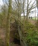 Up Parbold Hill Up Parbold Hill