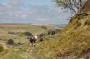 Round to Musbury Round to Musbury