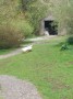 The not so friendly ducks The not so friendly ducks