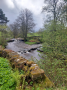 Dales stream Dales stream