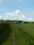 Near Borsdane Wood Near Borsdane Wood