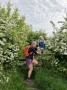 The hawthorn is fabulous at the moment The hawthorn is fabulous at the moment