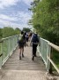 Over the bridge Over the bridge