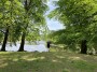Serene water Serene water