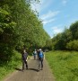 Track walking Track walking