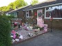 The pink house The pink house
