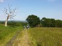 Down to the canal with fabulous views Down to the canal with fabulous views