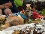 Alf has a rest Alf has a rest