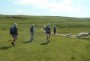 Lots of sheep on the tops Lots of sheep on the tops