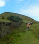 Musbury Tor Musbury Tor