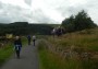 Looking at the history of Grane Looking at the history of Grane