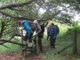 Woodland stile Woodland stile