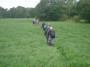 In a line through the fields In a line through the fields