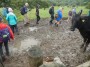 Lots of mud as well Lots of mud as well