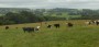 Chris and Ed brave them together Chris and Ed brave them together