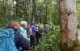 Up through the woods Up through the woods