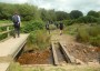 Near White Coppice Near White Coppice