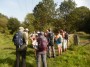 In Longworth Clough In Longworth Clough