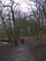  Borsdane Wood