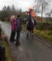 This horse did very well for banana skins This horse did very well for banana skins