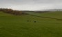 Undulating fields Undulating fields