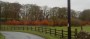 Glorious Autumn Colours Glorious Autumn Colours