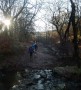 In Roddlesworth woods In Roddlesworth woods